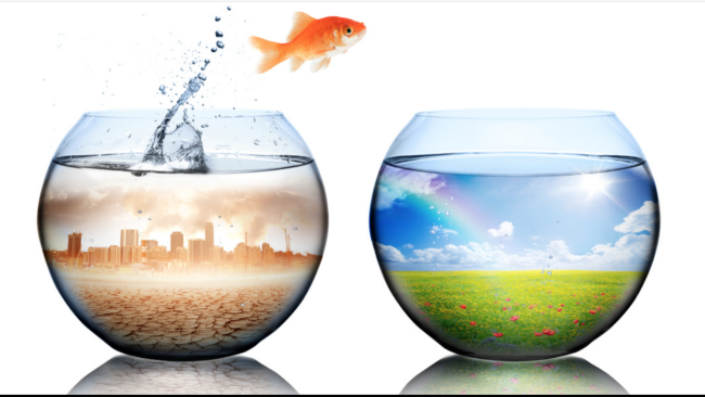 FEAT-IMG-Germ-Theory-vs-Terrain-Theory-001a