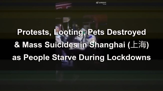 FEAT-IMG-Protests-Looting-Pets-Destroyed+Mass-Suicides-in-Shanghai-001a