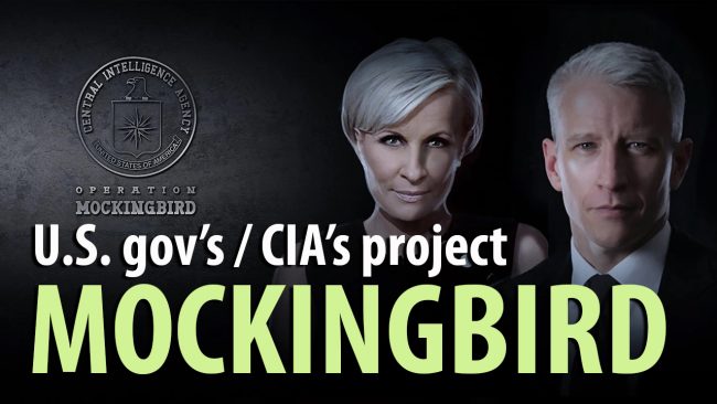 FEAT-IMG-project_mockingbird-001a